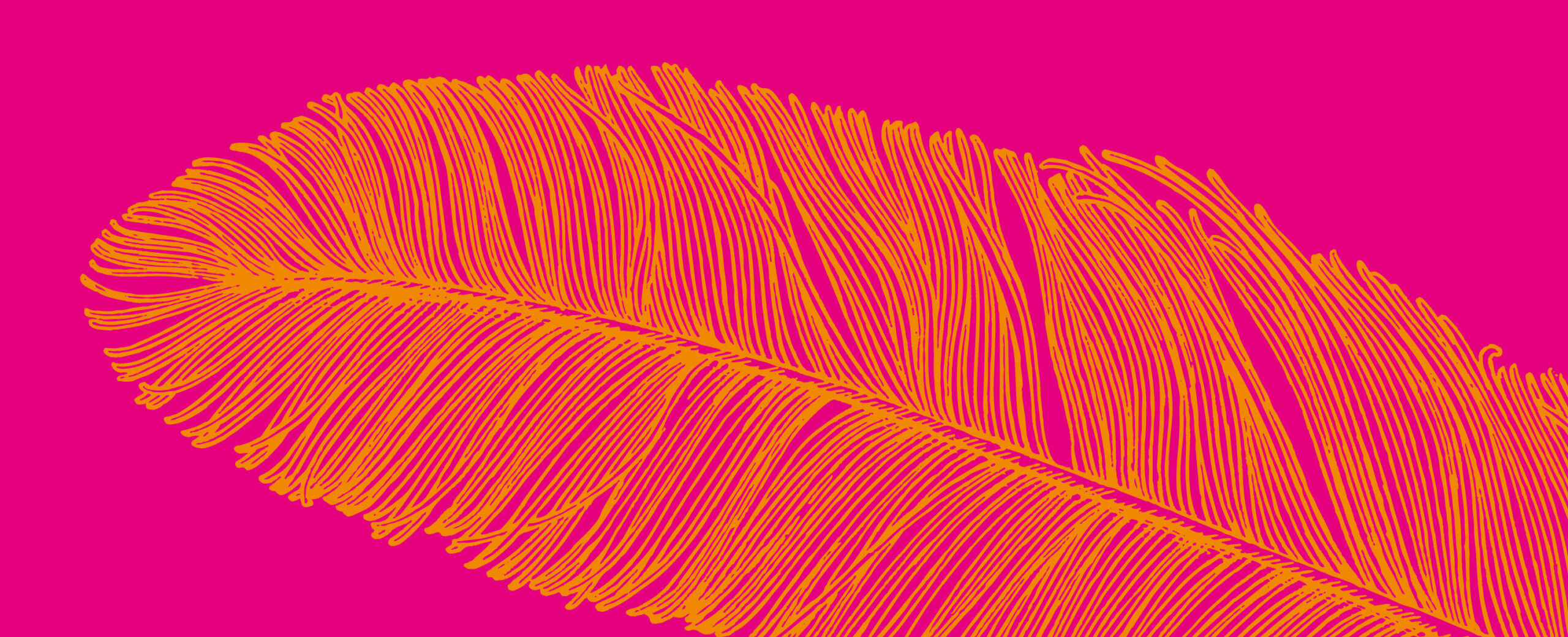 Orangefarbene Feder auf pinkem Hintergrund