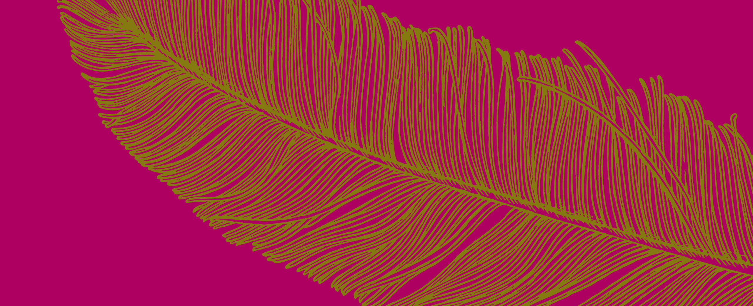 Olivgrüne Feder-Illustration auf magentafarbenem Hintergrund
