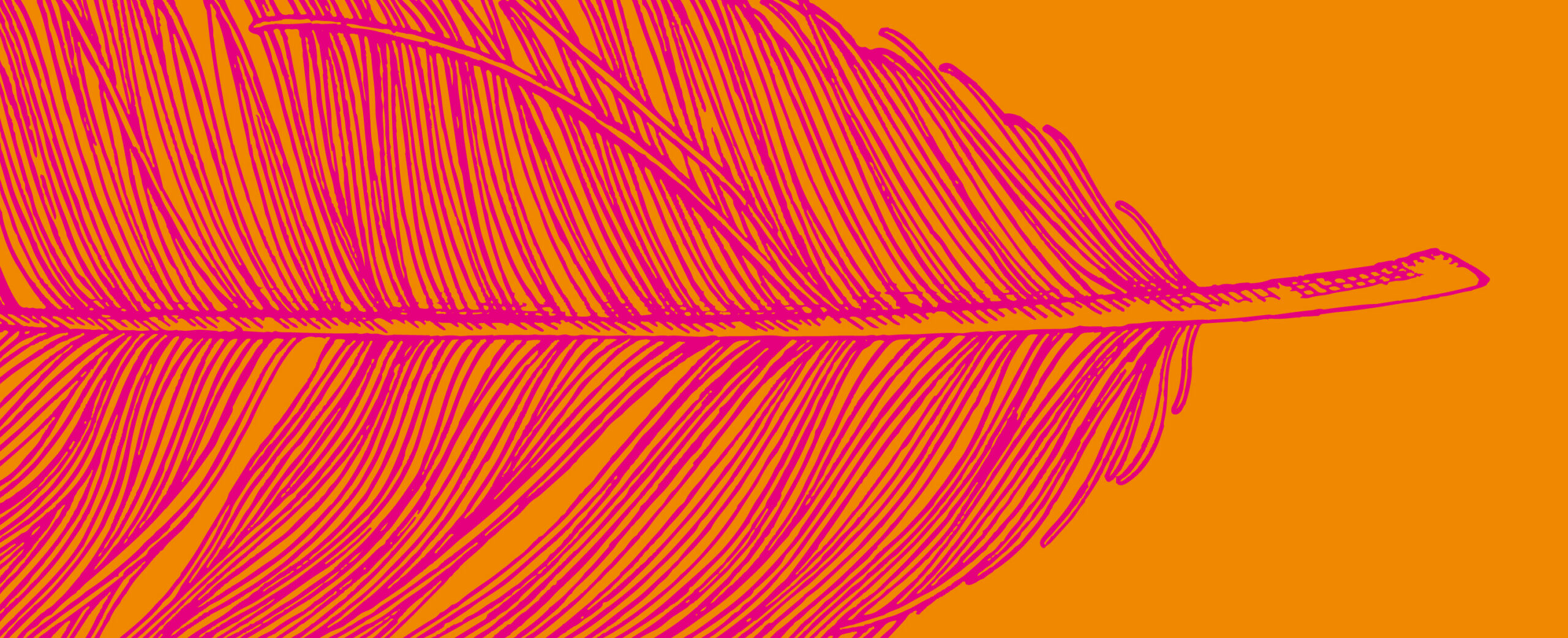 Pinke Feder-Illustration auf orangem Hintergrund